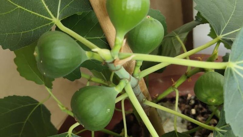 弱电系统集成预算编制：关键步骤与注意事项